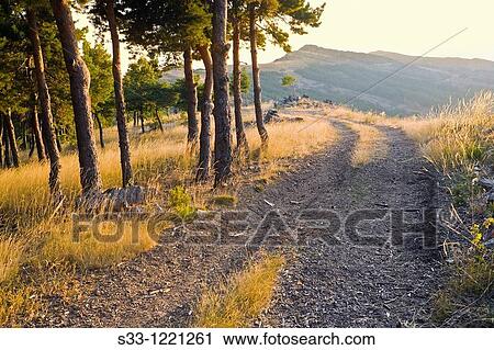 The Porrej? n from Portezuela hill in the Sierra Norte Madrid Spain View Large Photo Image Stock Image - The Porrej? n from Portezuela hill in the Sierra Norte Madrid Spain. Fotosearch