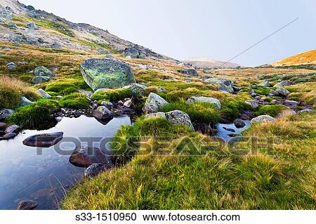 The Prado Puerto stream in the Sierra de Gredos? vila Castilla Le? n Spain View Large Photo Image Stock Image - The Prado Puerto stream in the Sierra de Gredos? vila Castilla Le? n Spain. Fotosearch