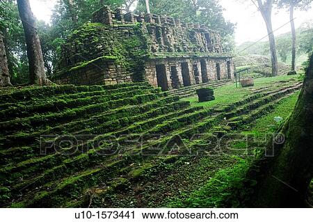 The R? o Usumacinta Valley, YaxchilBn Archaeological Site, Chiapas, M? xico View Large Photo Image Stock Image - The R? o Usumacinta Valley, YaxchilBn Archaeological Site, Chiapas, M? xico. Fotosearch
