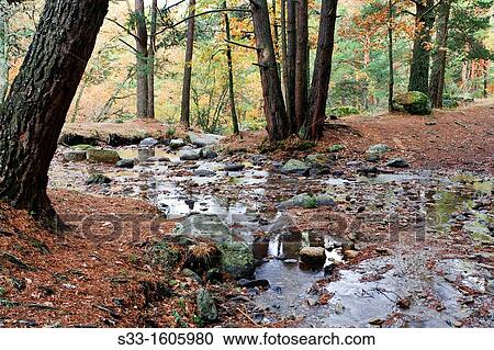 The Rastrillo stream in the Sierra de Guadarrama Valsa? n Segovia Castilla Le? n Spain View Large Photo Image Stock Image - The Rastrillo stream in the Sierra de Guadarrama Valsa? n Segovia Castilla Le? n Spain. Fotosearch