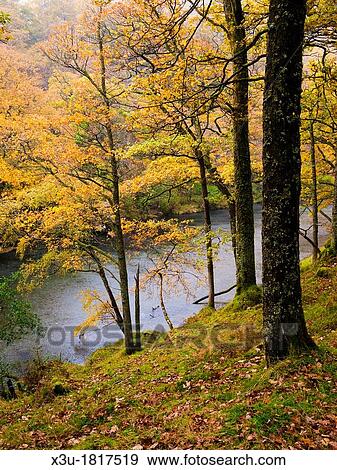 The River Derwent in Borrowdale near Keswick in the Lake District, Cumbria, England, United Kingdom View Large Photo Image Stock Photo - The River Derwent in Borrowdale near Keswick in the Lake District, Cumbria, England, United Kingdom. Fotosearch