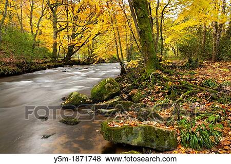 The River Teign flowing through Dunsford Wood in autumn in the Dartmoor National Park, Devon, England, UK, Europe View Large Photo Image Stock Photo - The River Teign flowing through Dunsford Wood in autumn in the Dartmoor National Park, Devon, England, UK, Europe. Fotosearch