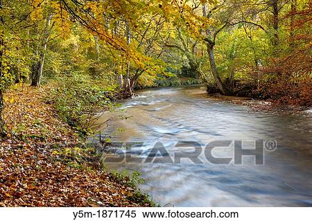 The River Teign flowing through Dunsford Wood in autumn in the Dartmoor National Park, Devon, England, UK, Europe View Large Photo Image Stock Photography - The River Teign flowing through Dunsford Wood in autumn in the Dartmoor National Park, Devon, England, UK, Europe. Fotosearch