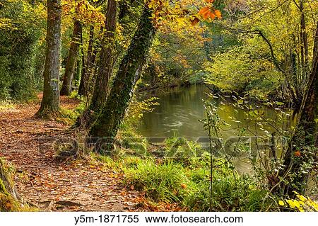 The River Teign flowing through Dunsford Wood in autumn in the Dartmoor National Park, Devon, England, UK, Europe View Large Photo Image Stock Photography - The River Teign flowing through Dunsford Wood in autumn in the Dartmoor National Park, Devon, England, UK, Europe. Fotosearch