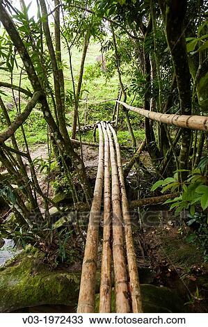 The riverside country, by Filobobos River, Veracruz, Mexico. View Large Photo Image Stock Image - The riverside country, by Filobobos River, Veracruz, Mexico.. Fotosearch