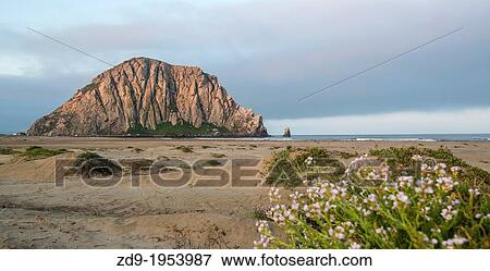 The Rock at Morro Bay, California. View Large Photo Image Stock Photo - The Rock at Morro Bay, California.. Fotosearch