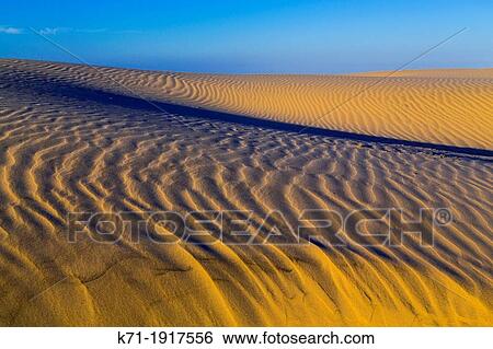 The sand dunes just before sunset along the coast on South Padre Island, Texas, USA View Large Photo Image Stock Photograph - The sand dunes just before sunset along the coast on South Padre Island, Texas, USA. Fotosearch