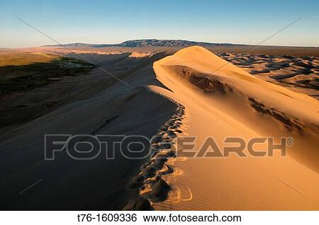 the sand dunes of Khongoryn Els at sunset in the Gobi Desert of Mongolia View Large Photo Image Stock Photograph - the sand dunes of Khongoryn Els at sunset in the Gobi Desert of Mongolia. Fotosearch