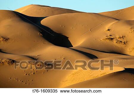Stock Photography - the sand dunes of Khongoryn Els at sunset in the Gobi Desert of Mongolia. Fotosearch