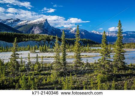 The Saskatchewan River Crossing along the Icefields Parkway in Banff National Park, Alberta, Canada. View Large Photo Image Stock Photograph - The Saskatchewan River Crossing along the Icefields Parkway in Banff National Park, Alberta, Canada.. Fotosearch