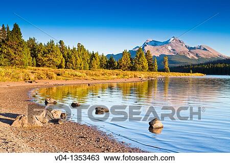The shore at Maligne Lake in the Jasper National Park, Alberta, Canada View Large Photo Image Stock Image - The shore at Maligne Lake in the Jasper National Park, Alberta, Canada. Fotosearch