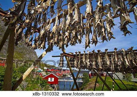 The small fishing town of? in the Lofoton Island Group, Norway.? is one of the best preserved fishing villages in all of Norway View Large Photo Image Stock Image - The small fishing town of? in the Lofoton Island Group, Norway.? is one of the best preserved fishing villages in all of Norway. Fotosearch