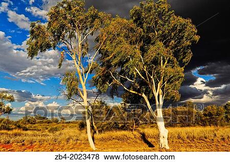 The Stuart Highway, Northern Territory, Australia, Oceania. View Large Photo Image Stock Photo - The Stuart Highway, Northern Territory, Australia, Oceania.. Fotosearch