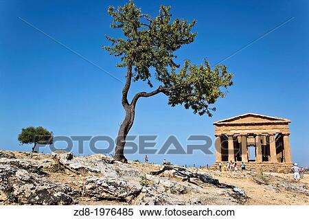 The Temple of Concordia in Agrigento, sicily. View Large Photo Image Stock Photography - The Temple of Concordia in Agrigento, sicily.. Fotosearch