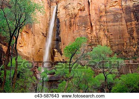 Stock Image - The Temple of Sinawava is a red Navajo sandstone cliff in the Zion Canyon, towering above the Virgin River and Freemont cottonwood (Populus fremontii) trees. The waterfall is seasonal, photographed in spring (mid April). Zion National Park, Utah, USA.. Fotosearch