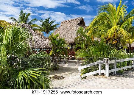The tropical beach resort of Los Palmos on Roatan island, Honduras View Large Photo Image Stock Photography - The tropical beach resort of Los Palmos on Roatan island, Honduras. Fotosearch
