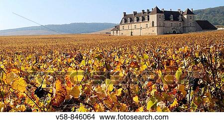 THE VINEYARD AND CASTLE OF CLOS DE VOUGEOT IN AUTUMN, COTES D? OR, BURGUNDY, FRANCE View Large Photo Image Picture - THE VINEYARD AND CASTLE OF CLOS DE VOUGEOT IN AUTUMN, COTES D? OR, BURGUNDY, FRANCE. Fotosearch