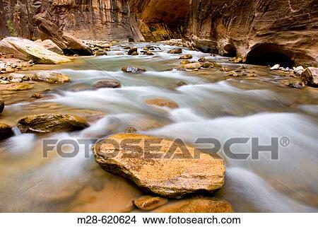 The Virgin River flowing through the Zion canyon narrows, Zion National Park. Utah, USA View Large Photo Image Picture - The Virgin River flowing through the Zion canyon narrows, Zion National Park. Utah, USA. Fotosearch