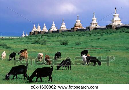 The walls of Erdene Zuu monastery with its 108 stupas, Karakorum, Mongolia View Large Photo Image Stock Image - The walls of Erdene Zuu monastery with its 108 stupas, Karakorum, Mongolia. Fotosearch