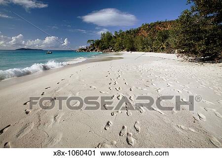 The white sand at Anse Georgette, Praslin Island, Seychelles View Large Photo Image Stock Image - The white sand at Anse Georgette, Praslin Island, Seychelles. Fotosearch
