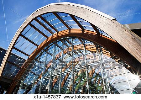 Stock Photo - The Winter Gardens Sheffield South Yorkshire England. Fotosearch