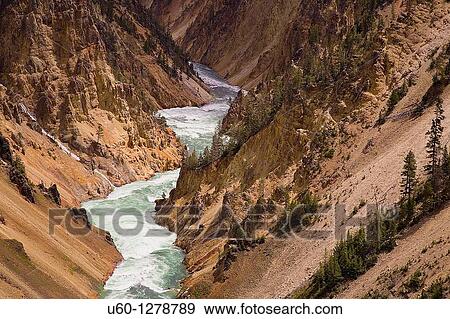 The Yellowstone River carves its way through the Grand Canyon of the Yellowstone at Yellowstone National park, Wyoming View Large Photo Image Stock Photo - The Yellowstone River carves its way through the Grand Canyon of the Yellowstone at Yellowstone National park, Wyoming. Fotosearch