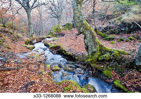 The Zarza stream Guadalajara Castilla la Mancha Spain View Large Photo Image Stock Photo - The Zarza stream Guadalajara Castilla la Mancha Spain. Fotosearch