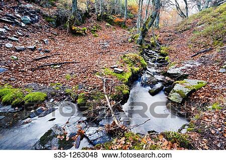 Stock Photo - The Zarza stream in the Sierra Norte Guadalajara Castilla la Mancha Spain. Fotosearch