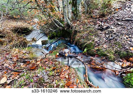 The Zarza stream in the Sierra Norte Guadalajara Castilla la Mancha Spain View Large Photo Image Stock Photograph - The Zarza stream in the Sierra Norte Guadalajara Castilla la Mancha Spain. Fotosearch