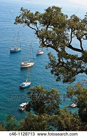 Stock Image - Theoule sur mer. Cannes. Alpes-Maritimes. French Riviera. Provence. France.. Fotosearch