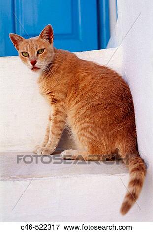 Stock Photo - Thera, Santorini, Cyclades Islands, Greece. Fotosearch