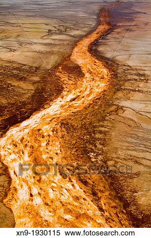 Thermophilic bacteria, microorganisms at Midway Geyser Basin, Yellowstone National Park, Idaho, Montana and Wyoming, USA. View Large Photo Image Stock Photography - Thermophilic bacteria, microorganisms at Midway Geyser Basin, Yellowstone National Park, Idaho, Montana and Wyoming, USA.. Fotosearch