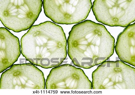 thin slices of cucumber lit from behind, edges touching making a tiled pattern View Large Photo Image Stock Photo - thin slices of cucumber lit from behind, edges touching making a tiled pattern. Fotosearch
