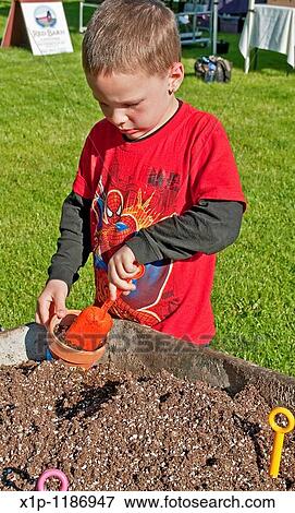 This 5 year old boy is a young gardener to be as he's planting a plan in a clay pot with shovels and a wheelbarrow full of potting soil He's got short hair and is a Caucasian child with freckles and an earring View Large Photo Image Stock Photo - This 5 year old boy is a young gardener to be as he's planting a plan in a clay pot with shovels and a wheelbarrow full of potting soil He's got short hair and is a Caucasian child with freckles and an earring. Fotosearch