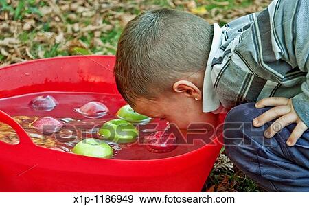 This cute 5 year old Caucasian boy is bobbing for apples in a large red tub of water with both red and green apples Classic fall game of tradition in American culture Background intentionally blurred for artistic effect View Large Photo Image Stock Photo - This cute 5 year old Caucasian boy is bobbing for apples in a large red tub of water with both red and green apples Classic fall game of tradition in American culture Background intentionally blurred for artistic effect. Fotosearch