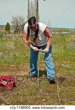 This mature Native American Indian woman with long hair and a headband is digging camas sweet potatoes manually with a stick in a Native American traditional way View Large Photo Image Stock Image - This mature Native American Indian woman with long hair and a headband is digging camas sweet potatoes manually with a stick in a Native American traditional way. Fotosearch
