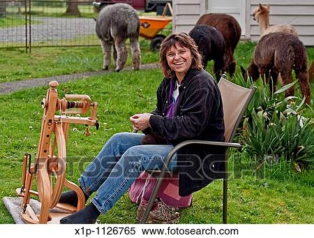 This rural lifestyle photo depicts a Caucasian woman enjoying farm life by spinning alpaca fiber into thread on a manual spinning wheel The alpacas are grazing in the grass behind her View Large Photo Image Stock Photography - This rural lifestyle photo depicts a Caucasian woman enjoying farm life by spinning alpaca fiber into thread on a manual spinning wheel The alpacas are grazing in the grass behind her. Fotosearch