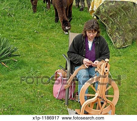 This rural woman is spinning on a spinning wheel alpaca fur into thread on her farm with her alpacas in the background She is very talented in her craftsmanship View Large Photo Image Stock Photo - This rural woman is spinning on a spinning wheel alpaca fur into thread on her farm with her alpacas in the background She is very talented in her craftsmanship. Fotosearch