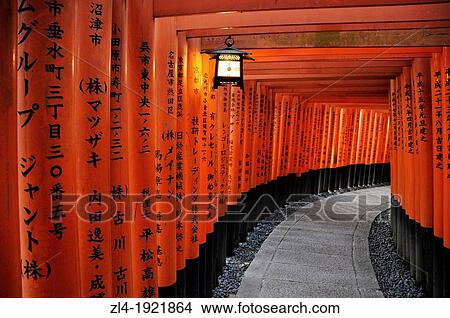 Thousands of vermilion torii gates, Fushimi Inari sanctuary. Japan, Honshu, Kinki, Kyoto, Fushimi Inari Taisha. (/Julien Garcia) View Large Photo Image Picture - Thousands of vermilion torii gates, Fushimi Inari sanctuary. Japan, Honshu, Kinki, Kyoto, Fushimi Inari Taisha. (/Julien Garcia). Fotosearch