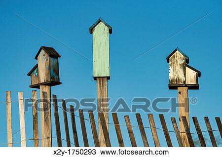 Stock Image - Three birdhouses, Delaware, USA. Fotosearch
