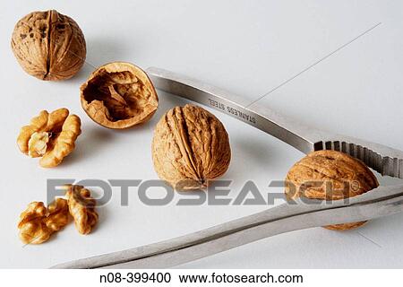 Three closed nuts and one open with metallic nutcracker View Large Photo Image Stock Image - Three closed nuts and one open with metallic nutcracker. Fotosearch