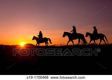 Three Cowboys on Horses at Sunrise View Large Photo Image Stock Photo - Three Cowboys on Horses at Sunrise. Fotosearch