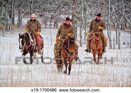 Three cowboys riding horses in the snow View Large Photo Image Stock Photograph - Three cowboys riding horses in the snow. Fotosearch