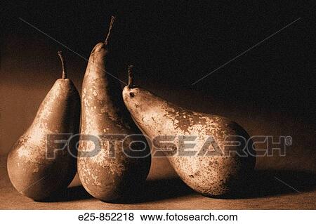 Three Pears arranged in a still ife composition in a sepia finish. View Large Photo Image Stock Photo - Three Pears arranged in a still ife composition in a sepia finish.. Fotosearch
