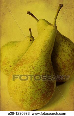 Three pears arranged in a still life composition with a textured finish. View Large Photo Image Stock Image - Three pears arranged in a still life composition with a textured finish.. Fotosearch