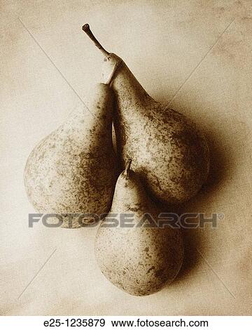 Three pears arranged in a still-life composition in a monotone and textured finish with a grain effect. View Large Photo Image Stock Photo - Three pears arranged in a still-life composition in a monotone and textured finish with a grain effect.. Fotosearch