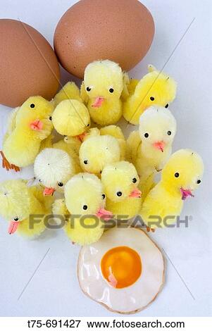 Three phases of life in eggs View Large Photo Image Stock Photo - Three phases of life in eggs. Fotosearch