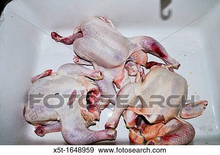 Three Raw whole chickens in plastic tub View Large Photo Image Stock Photo - Three Raw whole chickens in plastic tub. Fotosearch