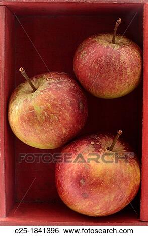 Three red apples stacked in a wooden box. View Large Photo Image Stock Photograph - Three red apples stacked in a wooden box.. Fotosearch