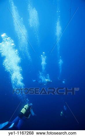 Stock Photo - Three scuba divers in the ocean.. Fotosearch